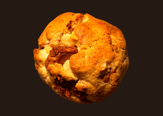 Protein Caramel Biscuit
